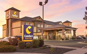 Comfort Suites Moses Lake